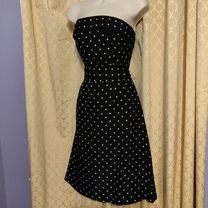 CK Bradley poco dot dress size 6